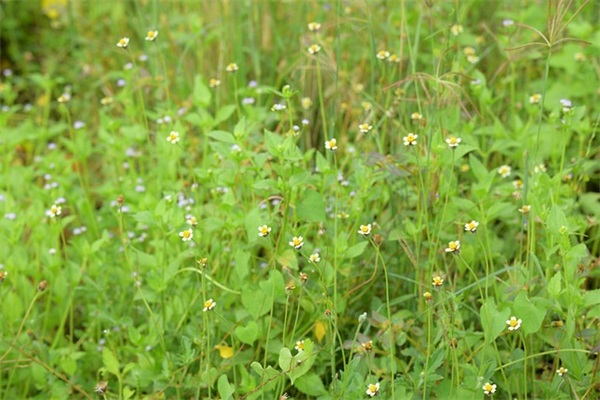 收礼物的感谢的话 谢谢家人送的礼物句子