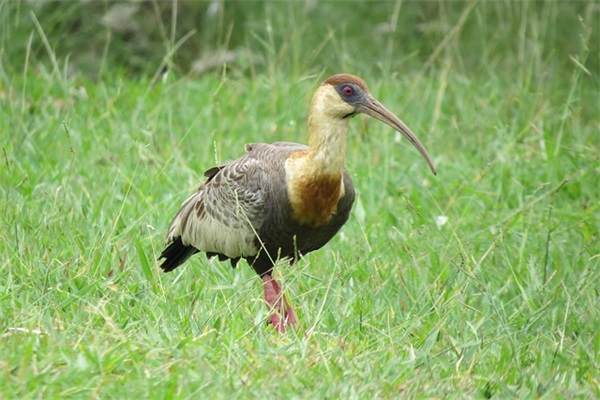 旅行美食短句 形容美食的优美句子