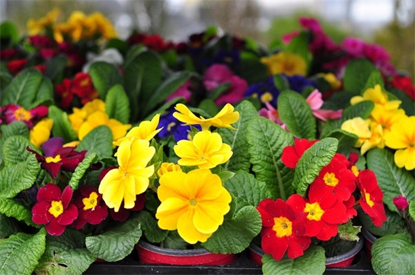 励志努力坚持的句子