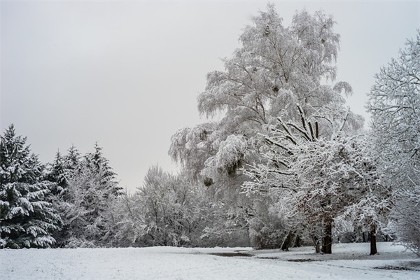 伤感的句子一段话85句