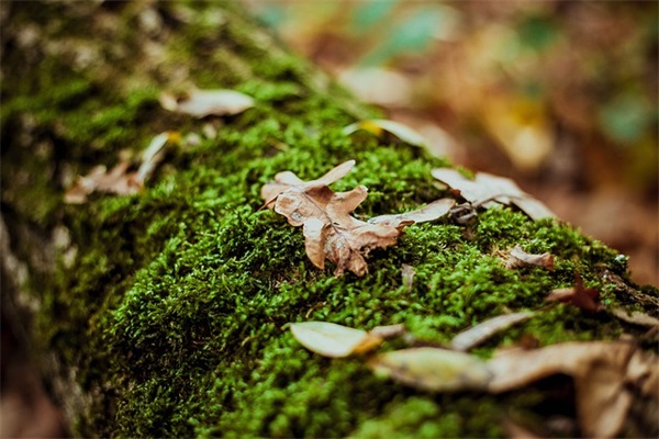 文案句子抑郁症 极度抑郁的短句文案