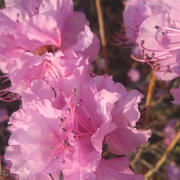 空间留言爱情句子古语110句