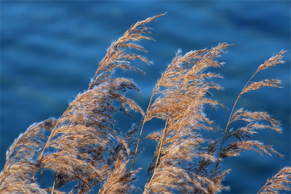 酤酷的句子 酷酷的短句子