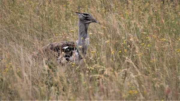 伤感句子大全 伤感的名句大全