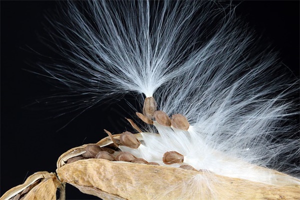 致自己有关新年的励志句子 新年的句子