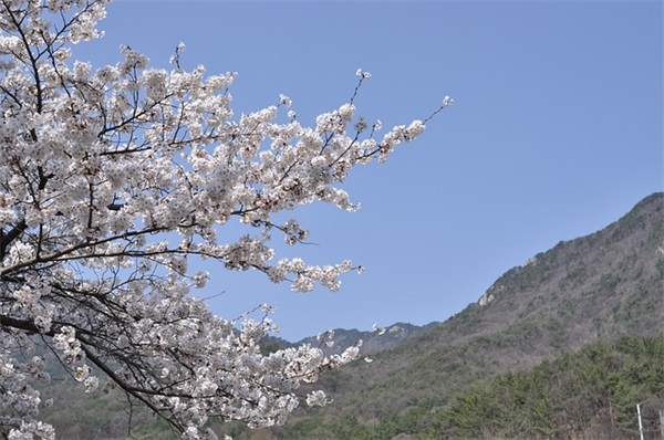 表达自己内心不高兴的句子 怎么表达自己不开心