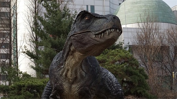 情人问候早上好 早安的幽默句子