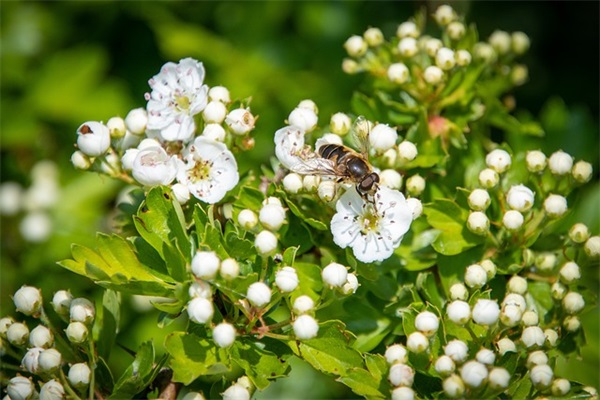 古风虐心句子大全