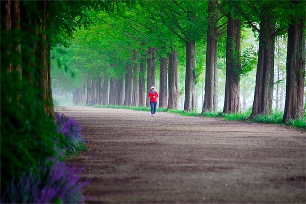 对工作伤感的句子 感慨工作的句子伤感的
