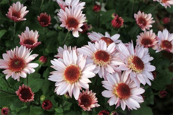 激励上进正能量句子 工作上进励志短句