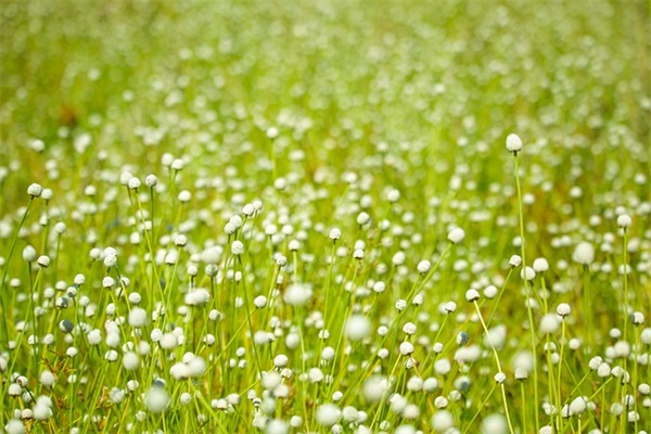 关于下雨的悲伤句子 下雨的悲惨句子