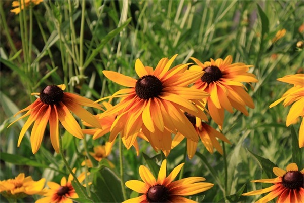 青春爱情伤感句子100句