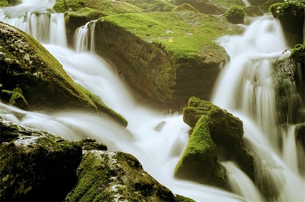 青涩懵懂的感情的句子 青春懵懂爱情简短句子