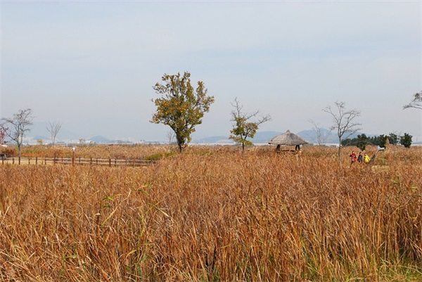 初中生那些优美句子