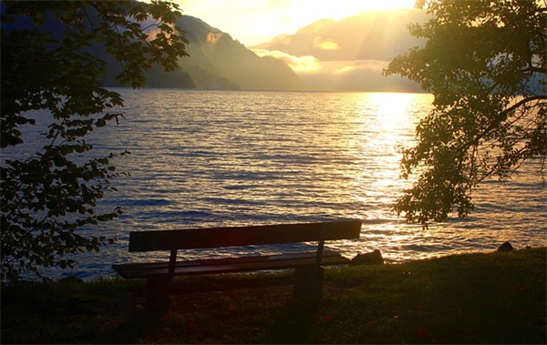 形容赏花美好心情句子