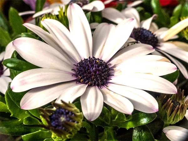 迎接中考励志的句子 冲刺中考的励志语