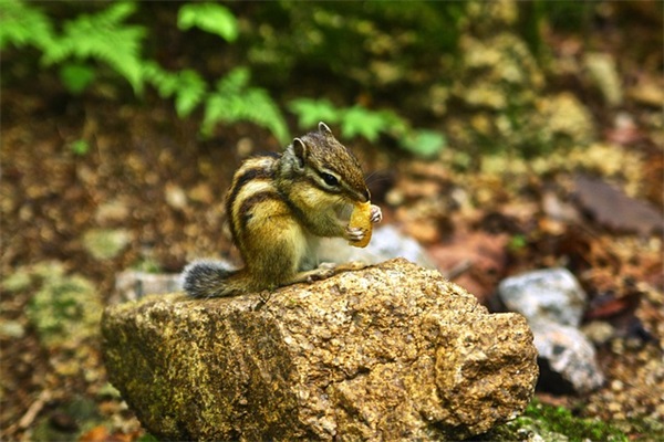 看了让人心酸的句子