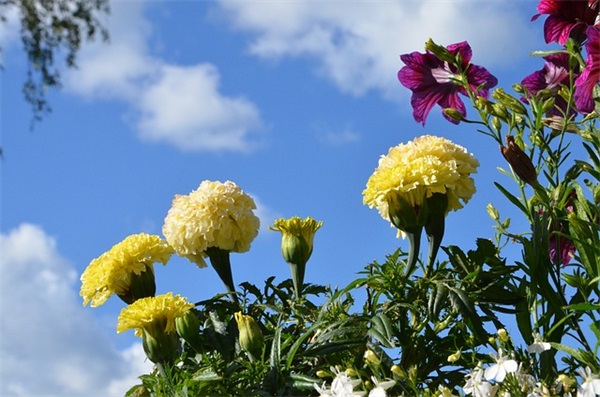 鼓励消极心态的句子 消极的生活态度句子