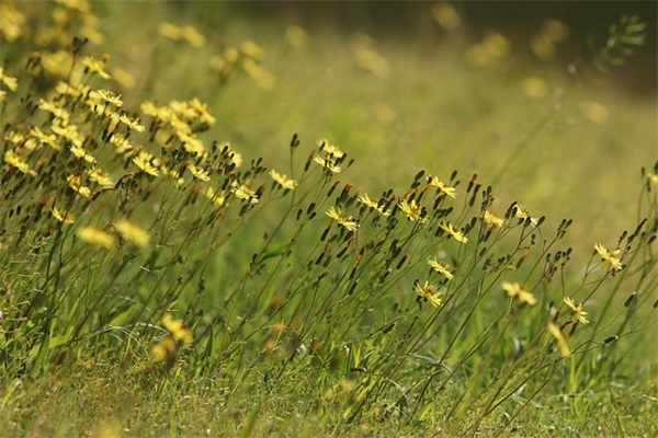 描写伤感心情的句子 心情悲伤的句子