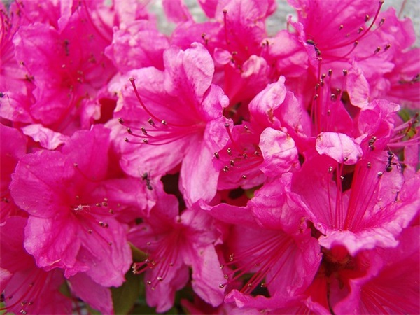 有关童话的句子50句