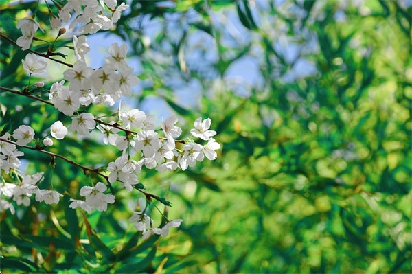 浪漫暖心的句子 对别人暖心的短句