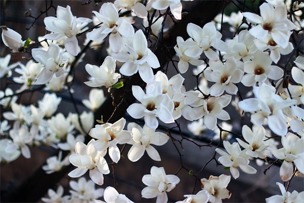 人生感悟致自己 阳光心态正能量的句子