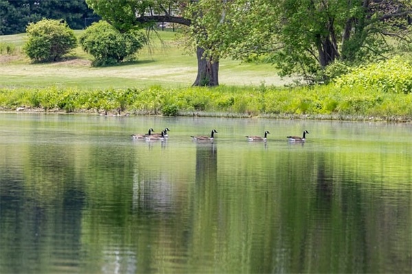 大学生就业指导论文