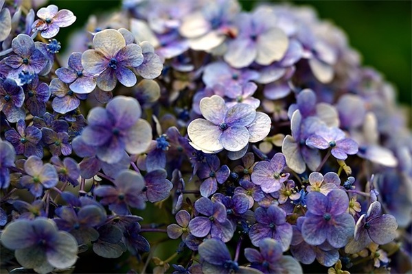 计算机大数据论文