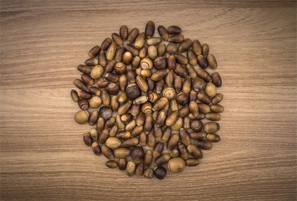 生物信息学方法