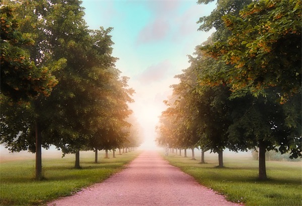 大学生实习就业论文