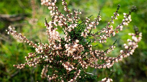 机械制造与自动化毕业论文