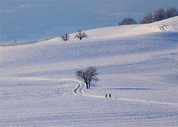 情况说明的格式范文(精选二十篇)