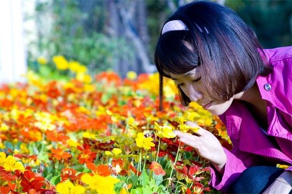 投诉书格式范文(精选十八篇)