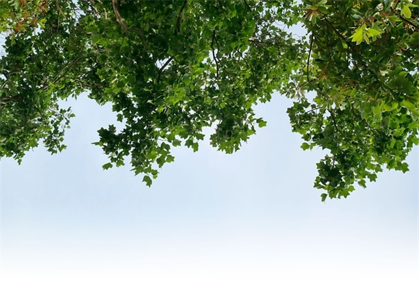 产品说明书范文300字(推荐13篇)