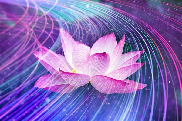 培养考察情况范文(推荐十九篇)