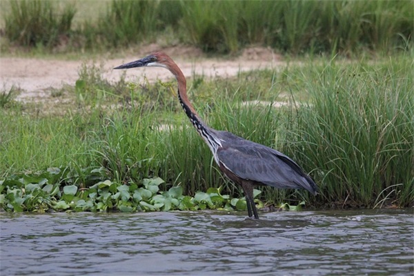 事故情况说明格式范文(通用十六篇)