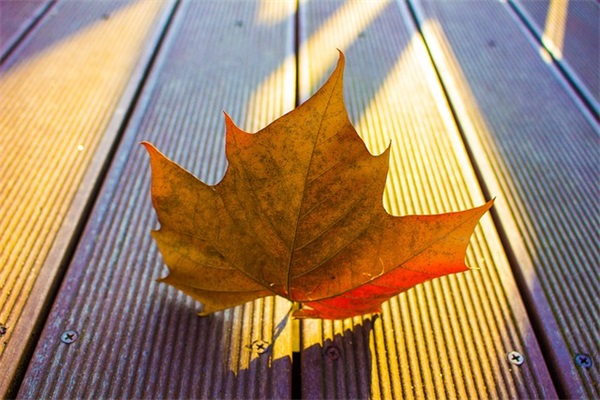 怎样写对联有范文通用11篇