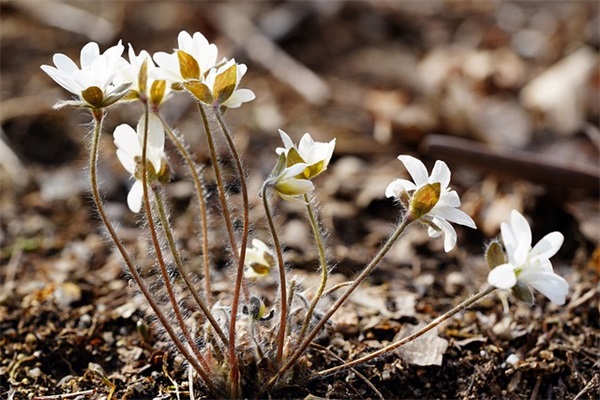 个人房屋租赁合同书