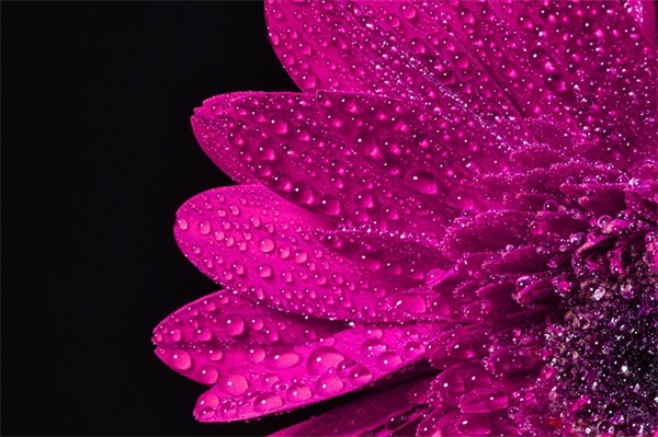 积分入户个人条件测评