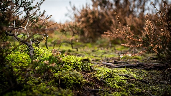 小学一年级数学ppt课件