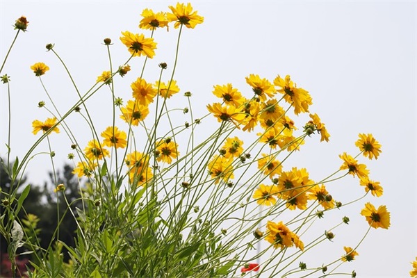 个人工作态度自我评价的内容