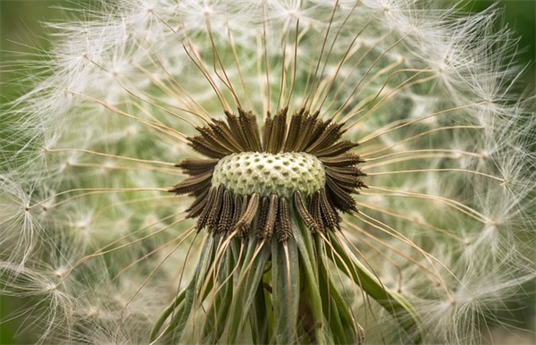 单位在职证明书在职证明书样本