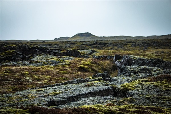 如何鉴别地沟油