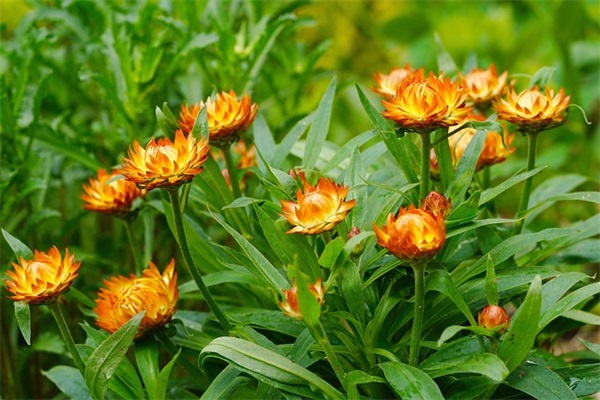 我还没来得及的句子精选176句