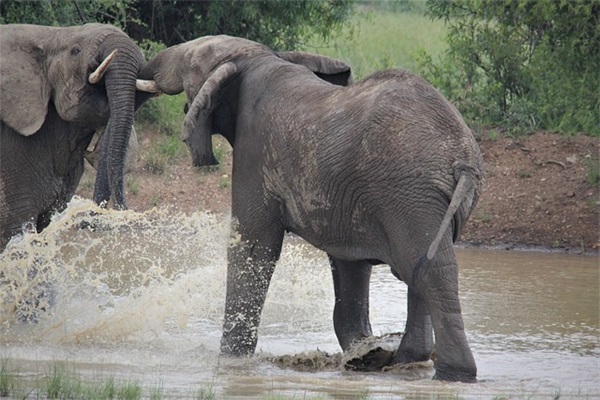 典范组句子精选244句