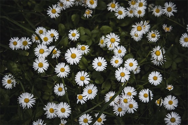 求菩萨保佑家人的句子精选162句