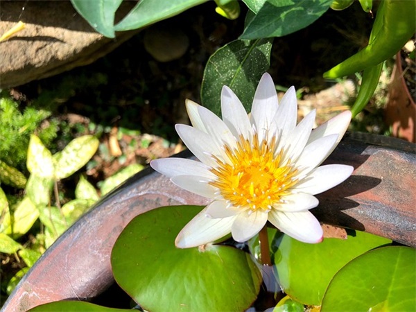 好听带壮字的网名女生