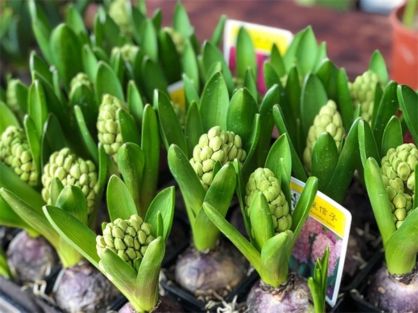 带壮字的网名女生可爱