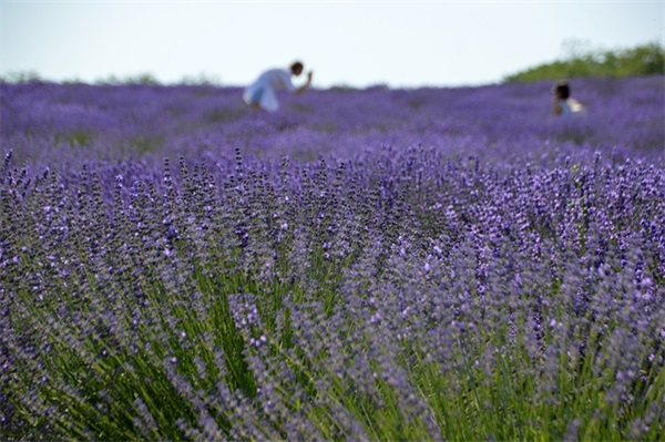 冷门有气质的英文名女
