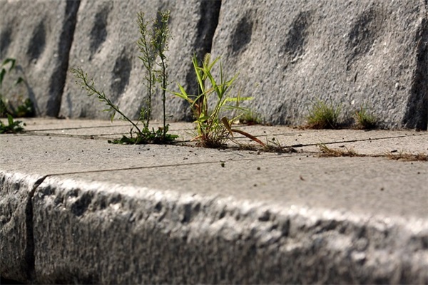 名字带暴走的女孩网名6